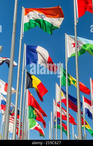 Viele Nationalflaggen der Weltländer winken im Wind, mit indischen, belgischen und portugiesischen Bannern im Vordergrund, Doha, Katar Stockfoto