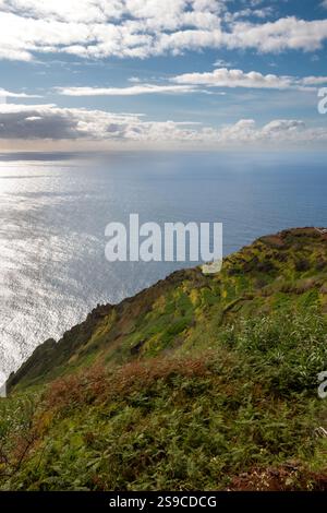 Wilde Natur, die die Oberfläche des Berges und der Klippen bedeckt. Blick auf den Atlantik. Blauer Himmel mit weißen Wolken. Santa Maria Magdalena, Madeira, Po Stockfoto