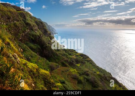 Wilde Natur, die die Oberfläche des Berges und der Klippen bedeckt. Blick auf den Atlantik. Blauer Himmel mit weißen Wolken. Santa Maria Magdalena, Madeira, Po Stockfoto