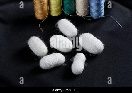 Weißer roher Schachtel Seidenraupenkokons auf dunklem Hintergrund. Auf der Rückseite farbige Nähspulen mit Textilkonzept. Stockfoto