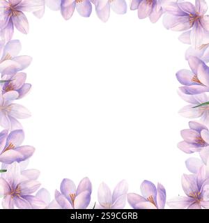 Handbemalte Frühlingsblumen. Flieder-Krokusse. Aquarellabbildung. Quadratischer Rahmen für Dekoration, Postkarten, Poster. Stockfoto