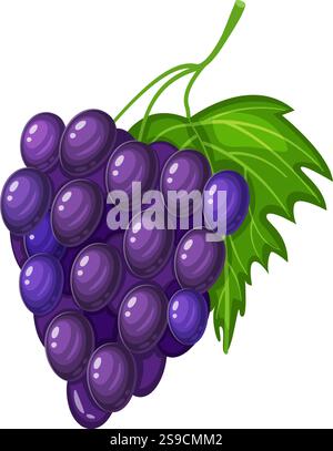 Frische, saftige lila Trauben hängen von einer Rebe mit einem lebendigen grünen Blatt, perfekt für gesunde Ernährung, Weinherstellung oder einen köstlichen Snack Stock Vektor