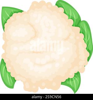 Blumenkohlkopf mit leuchtend grünen Blättern verkörpert gesunde Ernährung und vegetarische Küche und bietet eine frische und nahrhafte Zutat für kulinarische Kreationen Stock Vektor