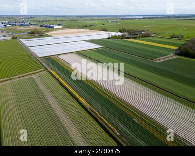 Luftaufnahme von Kunststoffplatten auf Spargelfeldern, Niederlande Stockfoto