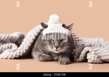 Niedliche Katze mit gestricktem Hut mit Karo auf beigem Hintergrund, Nahaufnahme Stockfoto