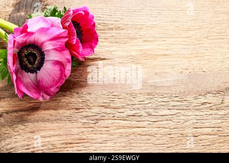 Blumenstrauß von Anemonen auf grauem Steinhintergrund, Kopierraum Stockfoto