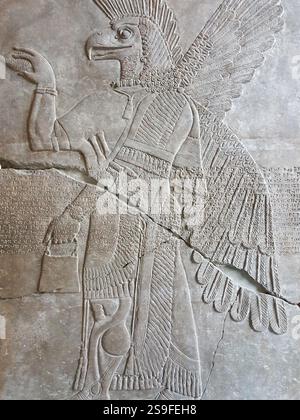 Der Reliefstich des mesopotamischen Flügeladlergottes Apkallu oder Abgal ziert die Wände eines alten assyrischen Tempels. Stockfoto