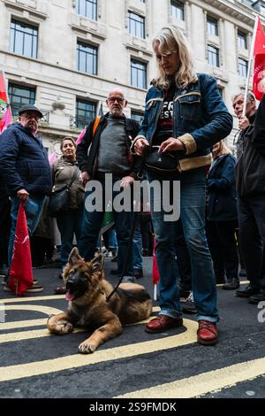 Demonstranten, die an der Gegenproteste gegen tommy Robinson und einem Protest teilnahmen, den er am 26. Oktober 2024 in Central London organisierte. Stockfoto
