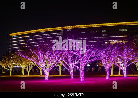 QINGDAO, CHINA – 26. JANUAR 2025 – zur Feier des chinesischen Neujahrs am Neuen Festland an der Westküste von Qingdao, Shandong, werden farbenfrohe Lichter ausgestellt Stockfoto