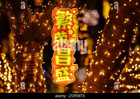 QINGDAO, CHINA – 26. JANUAR 2025 – zur Feier des chinesischen Neujahrs am Neuen Festland an der Westküste von Qingdao, Shandong, werden farbenfrohe Lichter ausgestellt Stockfoto