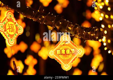 QINGDAO, CHINA – 26. JANUAR 2025 – zur Feier des chinesischen Neujahrs am Neuen Festland an der Westküste von Qingdao, Shandong, werden farbenfrohe Lichter ausgestellt Stockfoto