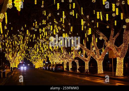 QINGDAO, CHINA – 26. JANUAR 2025 – zur Feier des chinesischen Neujahrs am Neuen Festland an der Westküste von Qingdao, Shandong, werden farbenfrohe Lichter ausgestellt Stockfoto