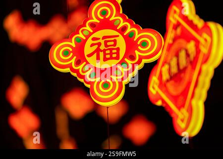 QINGDAO, CHINA – 26. JANUAR 2025 – zur Feier des chinesischen Neujahrs am Neuen Festland an der Westküste von Qingdao, Shandong, werden farbenfrohe Lichter ausgestellt Stockfoto