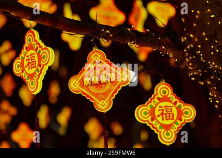 QINGDAO, CHINA – 26. JANUAR 2025 – zur Feier des chinesischen Neujahrs am Neuen Festland an der Westküste von Qingdao, Shandong, werden farbenfrohe Lichter ausgestellt Stockfoto