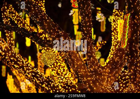 QINGDAO, CHINA – 26. JANUAR 2025 – zur Feier des chinesischen Neujahrs am Neuen Festland an der Westküste von Qingdao, Shandong, werden farbenfrohe Lichter ausgestellt Stockfoto