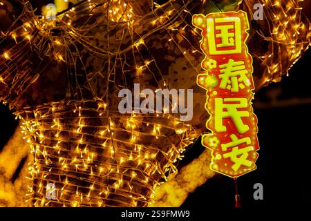 QINGDAO, CHINA – 26. JANUAR 2025 – zur Feier des chinesischen Neujahrs am Neuen Festland an der Westküste von Qingdao, Shandong, werden farbenfrohe Lichter ausgestellt Stockfoto