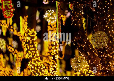 QINGDAO, CHINA – 26. JANUAR 2025 – zur Feier des chinesischen Neujahrs am Neuen Festland an der Westküste von Qingdao, Shandong, werden farbenfrohe Lichter ausgestellt Stockfoto