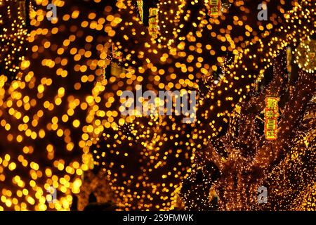 QINGDAO, CHINA – 26. JANUAR 2025 – zur Feier des chinesischen Neujahrs am Neuen Festland an der Westküste von Qingdao, Shandong, werden farbenfrohe Lichter ausgestellt Stockfoto