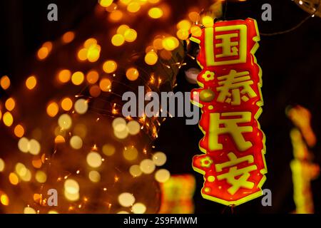 QINGDAO, CHINA – 26. JANUAR 2025 – zur Feier des chinesischen Neujahrs am Neuen Festland an der Westküste von Qingdao, Shandong, werden farbenfrohe Lichter ausgestellt Stockfoto
