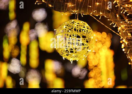 QINGDAO, CHINA – 26. JANUAR 2025 – zur Feier des chinesischen Neujahrs am Neuen Festland an der Westküste von Qingdao, Shandong, werden farbenfrohe Lichter ausgestellt Stockfoto