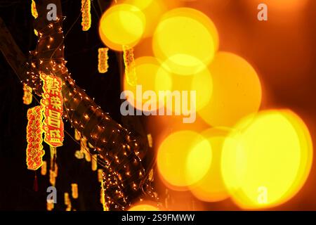 QINGDAO, CHINA – 26. JANUAR 2025 – zur Feier des chinesischen Neujahrs am Neuen Festland an der Westküste von Qingdao, Shandong, werden farbenfrohe Lichter ausgestellt Stockfoto