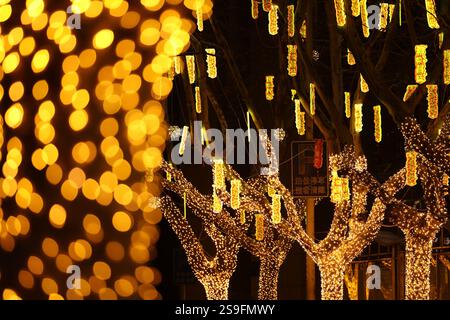 QINGDAO, CHINA – 26. JANUAR 2025 – zur Feier des chinesischen Neujahrs am Neuen Festland an der Westküste von Qingdao, Shandong, werden farbenfrohe Lichter ausgestellt Stockfoto