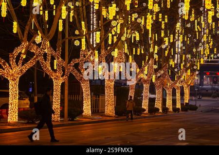 QINGDAO, CHINA – 26. JANUAR 2025 – zur Feier des chinesischen Neujahrs am Neuen Festland an der Westküste von Qingdao, Shandong, werden farbenfrohe Lichter ausgestellt Stockfoto