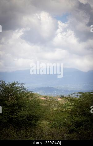 Landschaft der Region Arusha mit Akazienbäumen und Mount Meru in Wolken im Hintergrund in Tansania Ostafrika Stockfoto