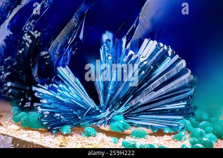 Hellblaue Clinoclase mit grünem Malachit und dunkelblauem Azurit. Exemplar aus der Clara-Mine, Oberwolfach, Deutschland. Mikrofotografie extreme Nahaufnahme. Stockfoto