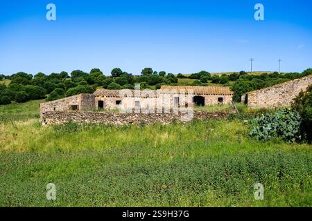 Verlassener Bauernhof in der Nachbarschaft von Laconi, umgeben von grünen Wiesen und Bäumen. Stockfoto