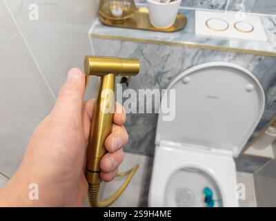 Modernes Bad mit stilvollem Messing-Bidet-Sprühgerät und eleganter Einrichtung Stockfoto