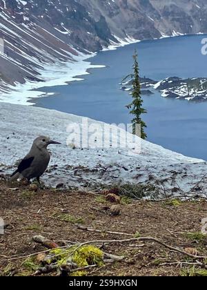Crater Lake im Norden Kaliforniens mit einer Schneestäubung Stockfoto