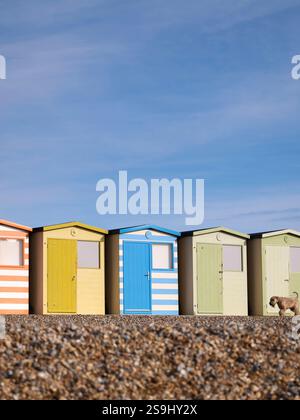 Hell beleuchtete, farbenfrohe Strandhütten an der Seaford Küste, East Sussex, Großbritannien Bild von Jim Holden Stockfoto