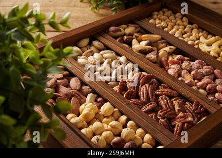 Mischung aus Nüssen in einer Holzkiste mit Pflanzen um sie herum. Walnüsse, Erdnüsse, Pekan, Mandeln, Cashewnüsse, Pistazie Stockfoto