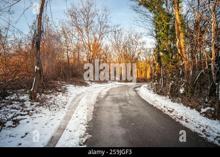 Eine verschneite Landstraße in Serbien im Winter, eingerahmt von frostigen Bäumen und strahlendem Sonnenlicht, die die Schönheit der ländlichen Landschaft unterstreicht. Stockfoto