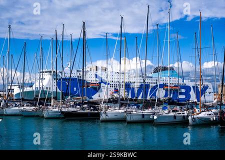 Segelboote vor Anker im Hafen und Jachthafen von Livorno, die Fähre Moby Legacy von Moby Lines in der Ferne. Livorno Toskana Italien FB 2024  Stockfoto