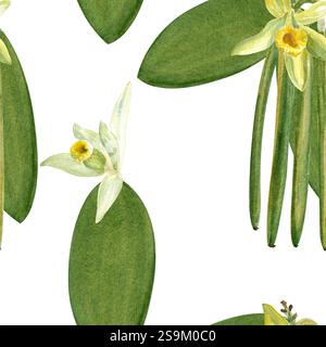 Vanilleblüten und Bohnen Pflanzen nahtloses Muster in Aquarell isoliert auf weißem Hintergrund. Hochwertiges handgezeichnetes Design, perfekt für Gewürzdosen Stockfoto