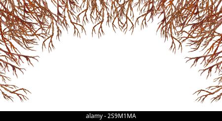 Braune Äste ohne Blätter, Blumen isoliert auf weißem Hintergrund. Botanischer Rahmen mit Blumenmuster. Stockfoto