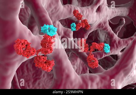 Monoklonale Antikörpertherapie bei Osteoporose - Nahaufnahme 3D-Illustration Stockfoto