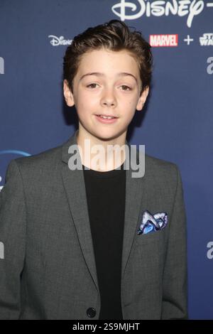 Tiernan Jones bei der TV-Premiere „Diary of A Future President“, ArcLight Cinemas - Hollywood, Los Angeles, USA - 14. Januar 2020 Stockfoto