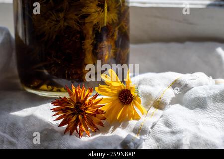 Gelbe und orangene Ringelblumen bei Sonnenschein vor dem Glas Stockfoto