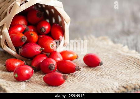 Frische reife Hagebutten im Korb auf Sackleinen, rohe Briarbeeren oder Hunderosenfrüchte mit Samen, gesundes Futterkonzept ( rosa canina ) Stockfoto