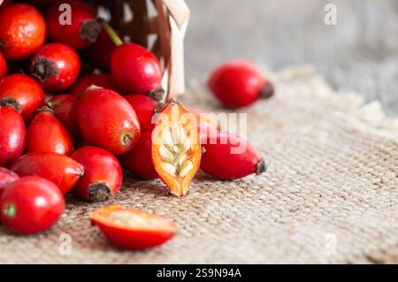 Frische reife Hagebutten im Korb auf Sackleinen, rohe Briarbeeren oder Hunderosenfrüchte mit Samen, gesundes Futterkonzept ( rosa canina ) Stockfoto