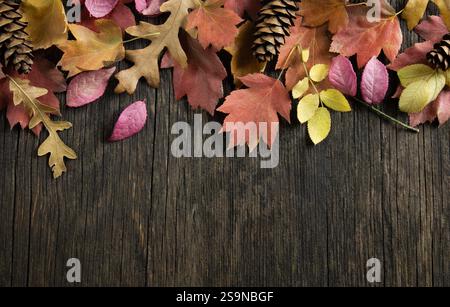 Herbstblätter verschiedener Bäume, bunte Blätter auf Holztisch, bunter Hintergrund, Platz für Text kopieren Stockfoto