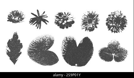 Collage-Aufkleber mit Fotokopiereffekt für Blumen und Blätter. Gestempelte Blumenkapazitäten mit monochromem Effekt. Kollage-Halbton-botanisches Element. Ausschnitte für Gazette s Stock Vektor