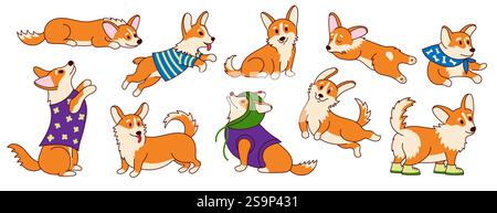 Kawaii Corgi Welpen. Niedliche kawaiiness-Cartoon lustige Charaktere mit süßen Emotionen und kawaiify-Posen, bezaubernde pembroke Corgi-Maskottchen. Vektor Stock Vektor