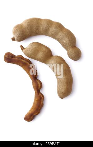 Frucht, drei süße Tamarinden Tamarindus Indica auf weißem Hintergrund Stockfoto