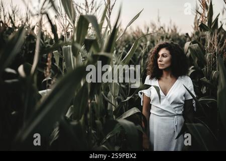 Reflektierende Frau in einem weißen Kleid steht in einem Maisfeld bei Sonnenuntergang Stockfoto