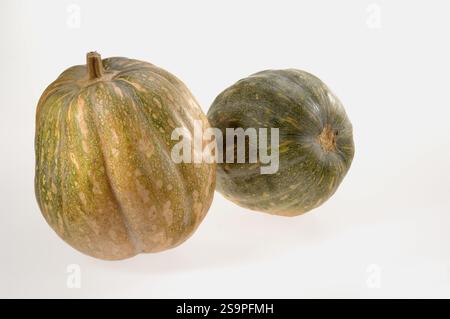 Gemüse, zwei Kürbisse Cucurbita moschata auf weißem Hintergrund Stockfoto