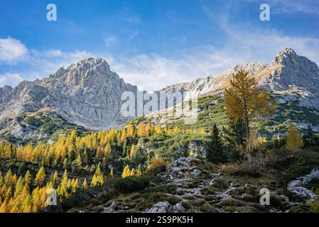 Herbstfarben in den Dolomiten mit hoch aufragenden Kalksteingipfeln Stockfoto